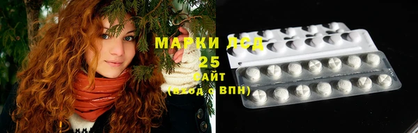 ГАЛЛЮЦИНОГЕННЫЕ ГРИБЫ Михайловка
