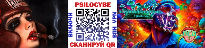 Псилоцибиновые грибы прущие грибы  Новоалександровск 