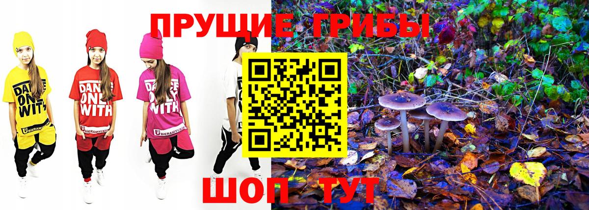 Галлюциногенные грибы прущие грибы Новоалександровск