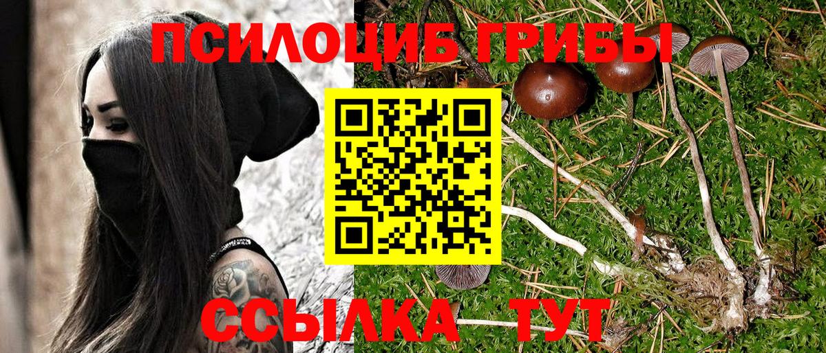 Псилоцибиновые грибы мухоморы  Новоалександровск 