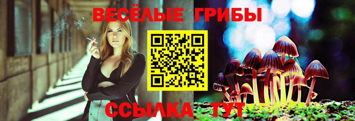 Галлюциногенные грибы прущие грибы  Псилоцибиновые грибы Psilocybe  Вход с VPN  Новоалександровск 