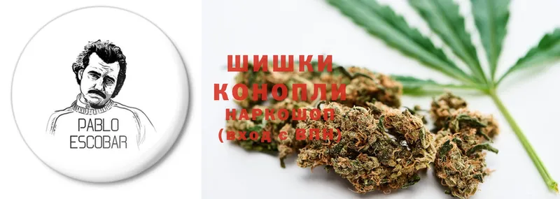 Шишки марихуана OG Kush  купить наркоту  Новоалександровск 